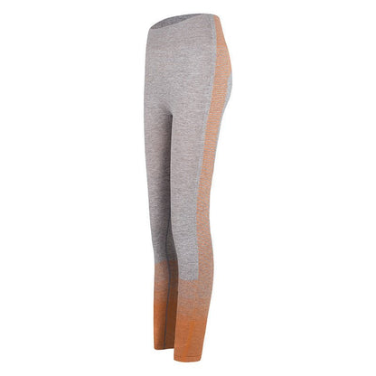 Fitness legging Striped Knitted High Waist - Stregactive